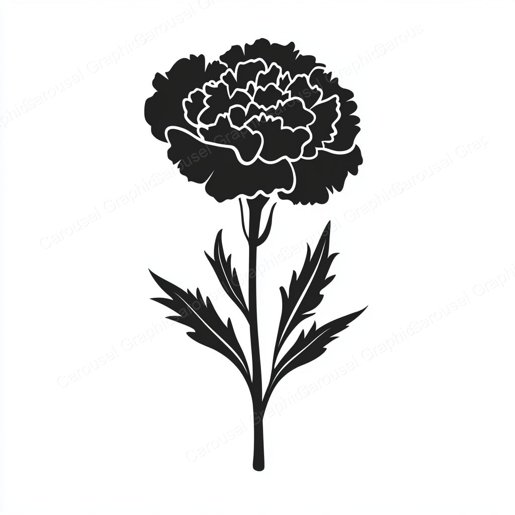 Carnation Vector Graphic preview