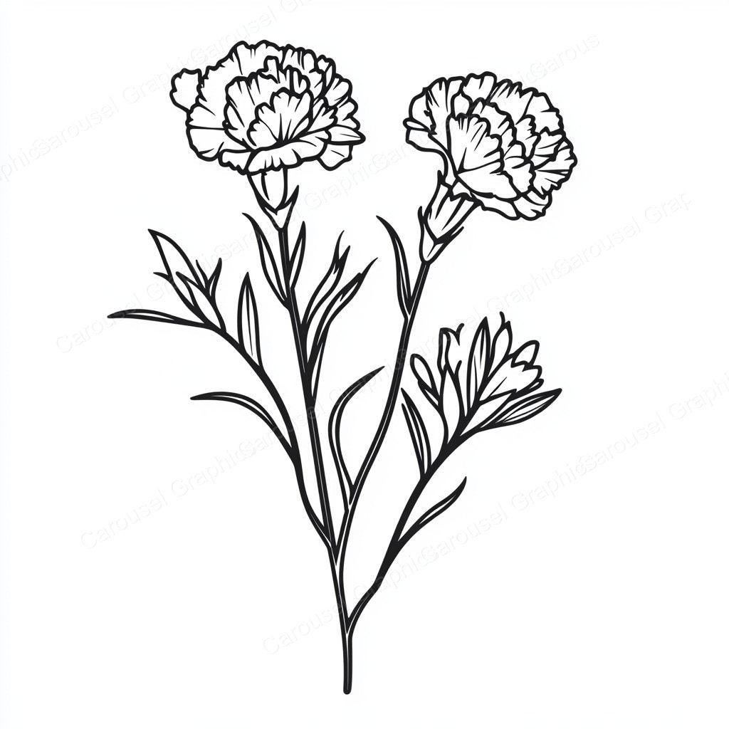 Carnation Vector Graphic preview