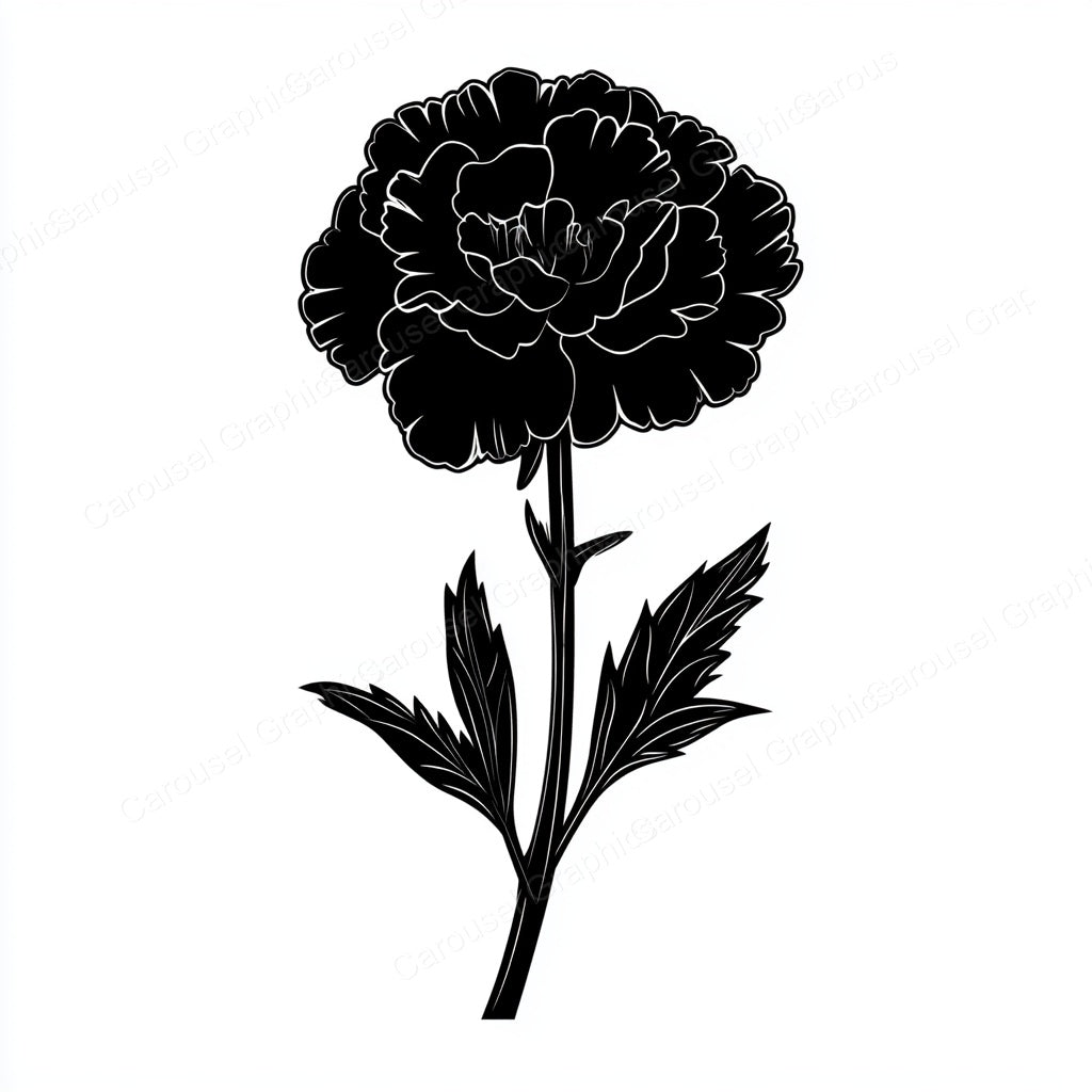 Carnation Vector Graphic preview
