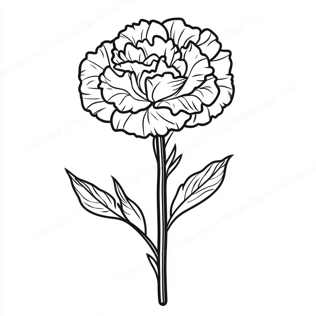 Carnation Vector Graphic preview