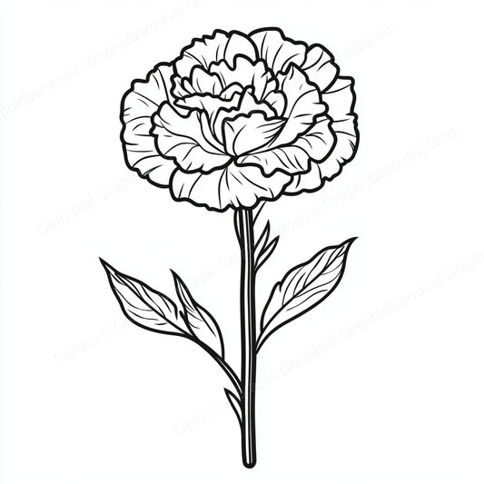 Carnation Vector Graphic preview
