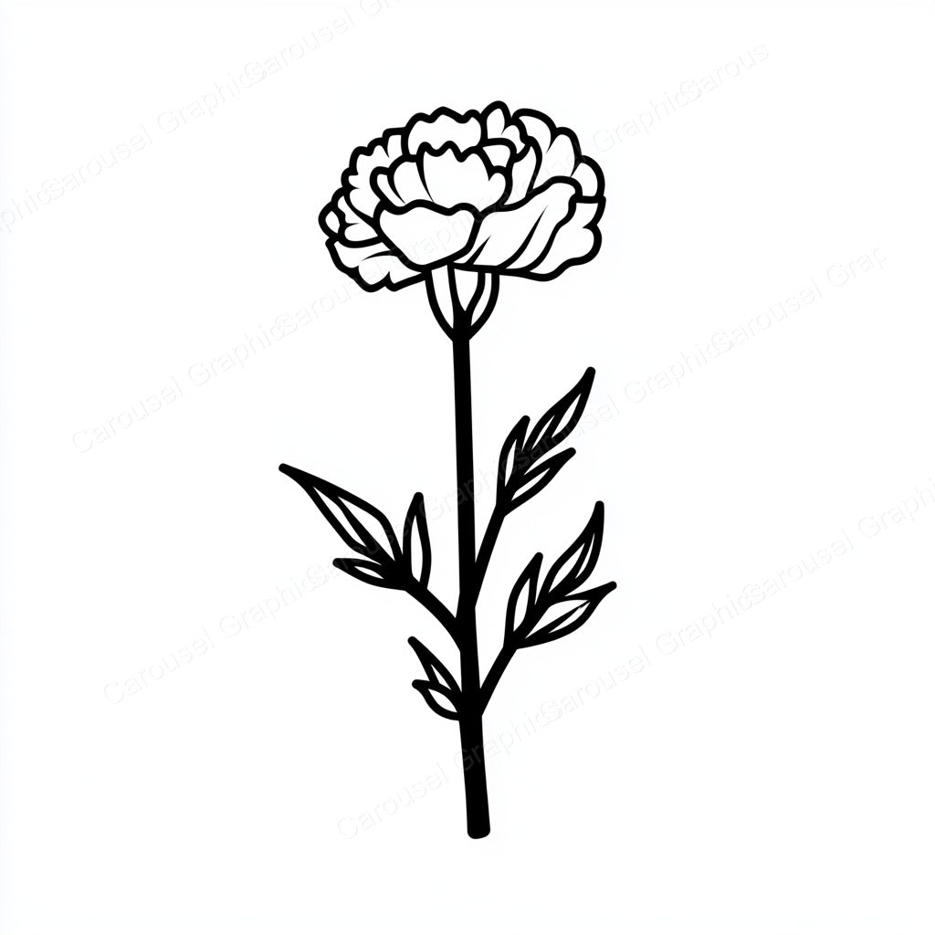 Carnation Vector Graphic preview
