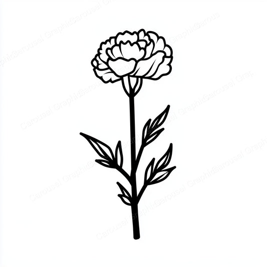 Carnation Vector Graphic preview