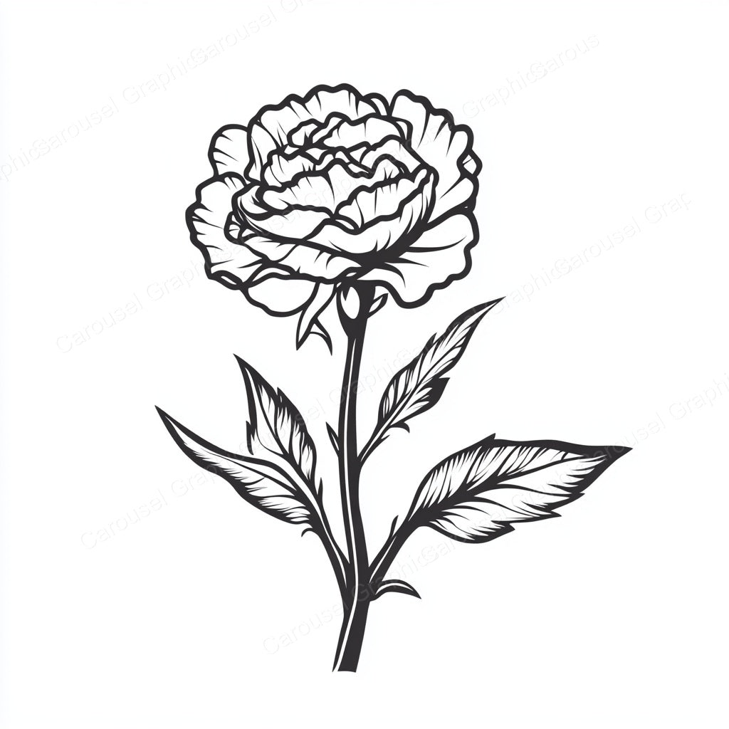 Carnation Vector Graphic preview