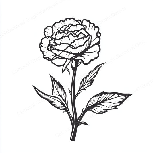 Carnation Vector Graphic preview