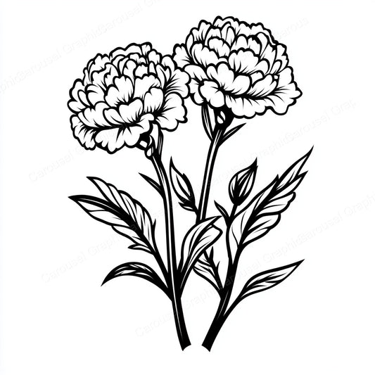 Carnation Vector Graphic preview