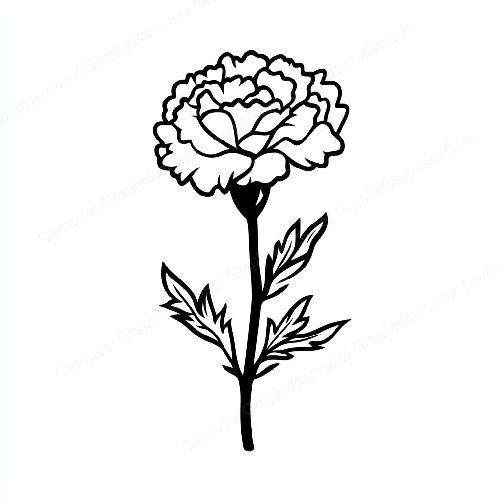 Carnation Vector Graphic preview