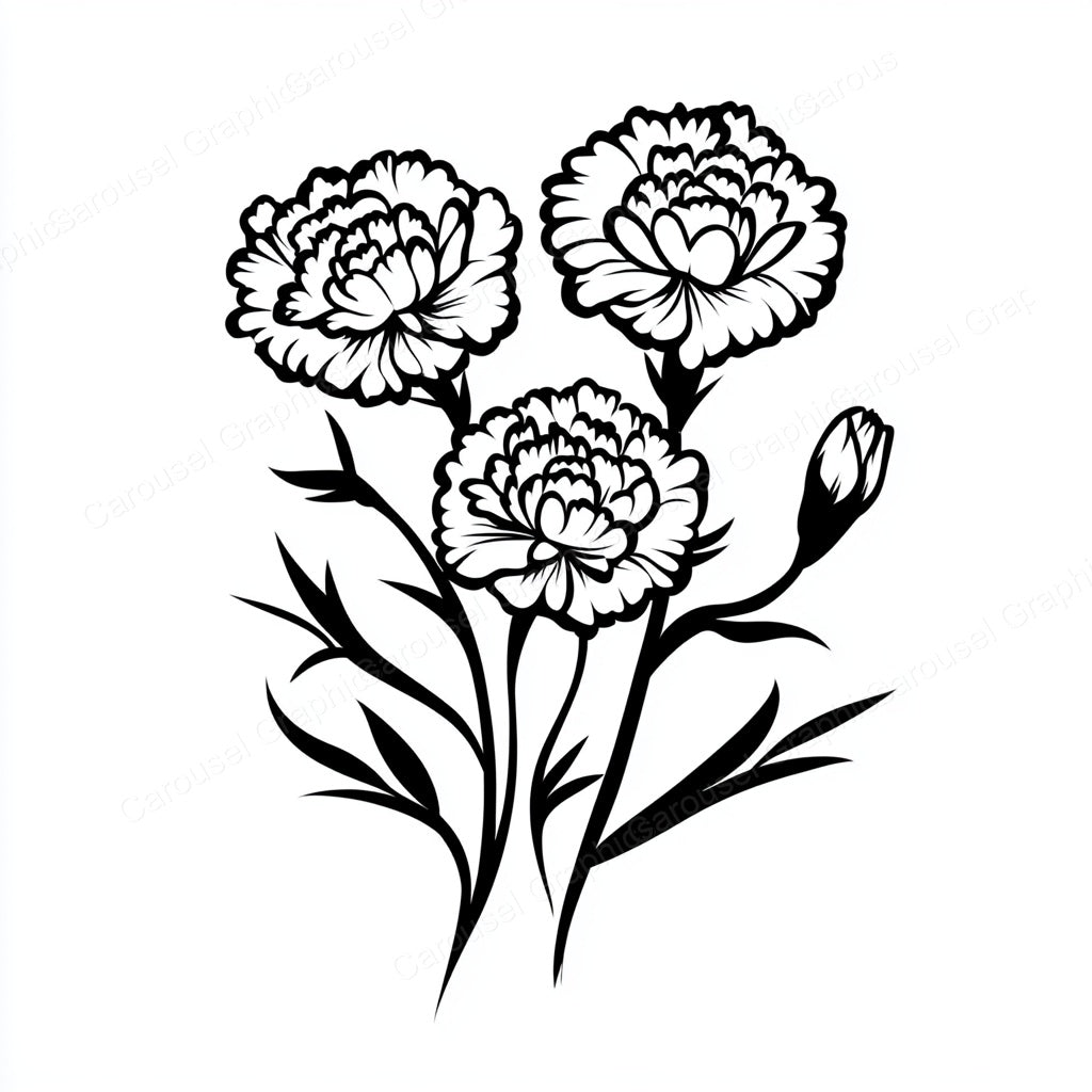 Carnation Vector Graphic preview