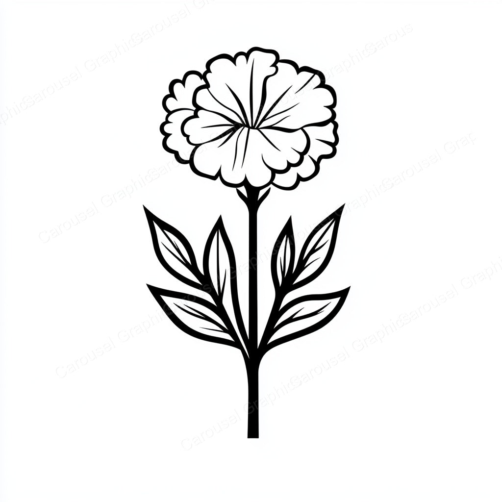 Carnation Vector Graphic preview