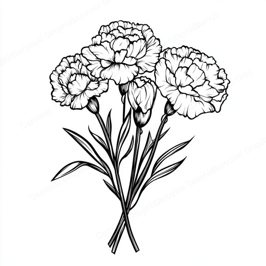 Carnation Vector Graphic preview