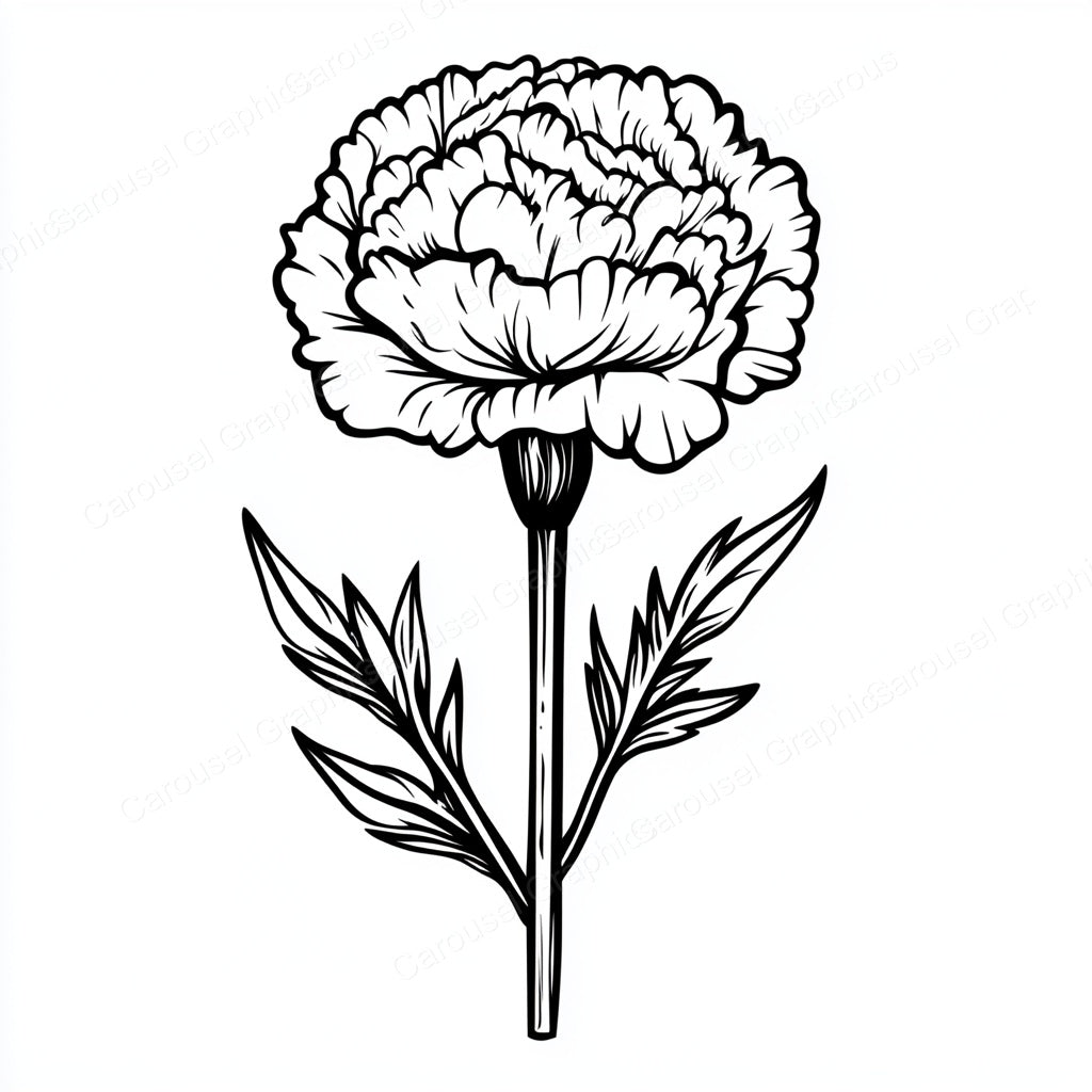 Carnation Vector Graphic preview
