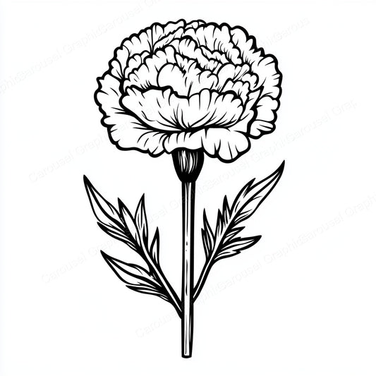 Carnation Vector Graphic preview