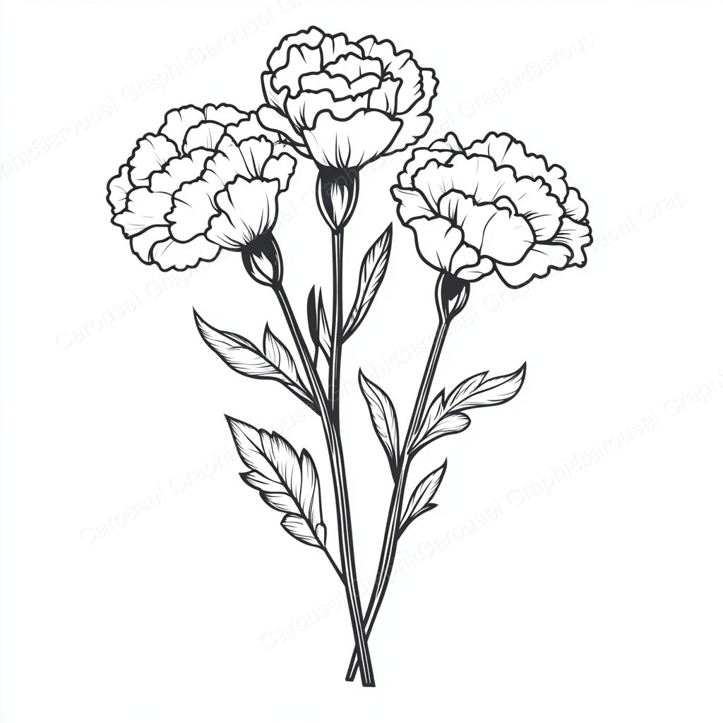 Carnation Vector Graphic preview