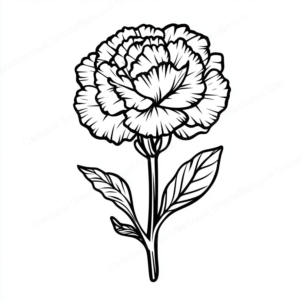 Carnation Vector Graphic preview