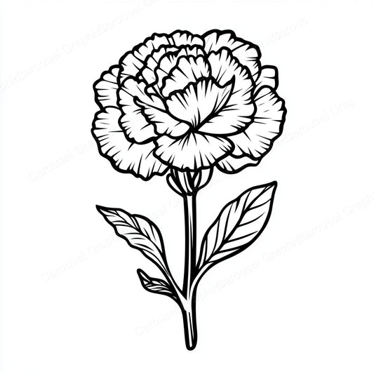 Carnation Vector Graphic preview