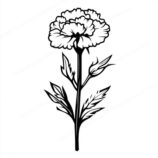 Carnation Vector Graphic preview