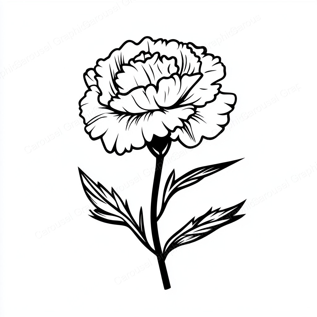 Carnation Vector Graphic preview