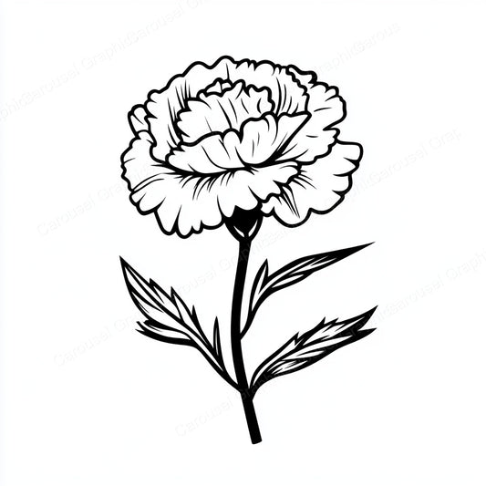 Carnation Vector Graphic preview