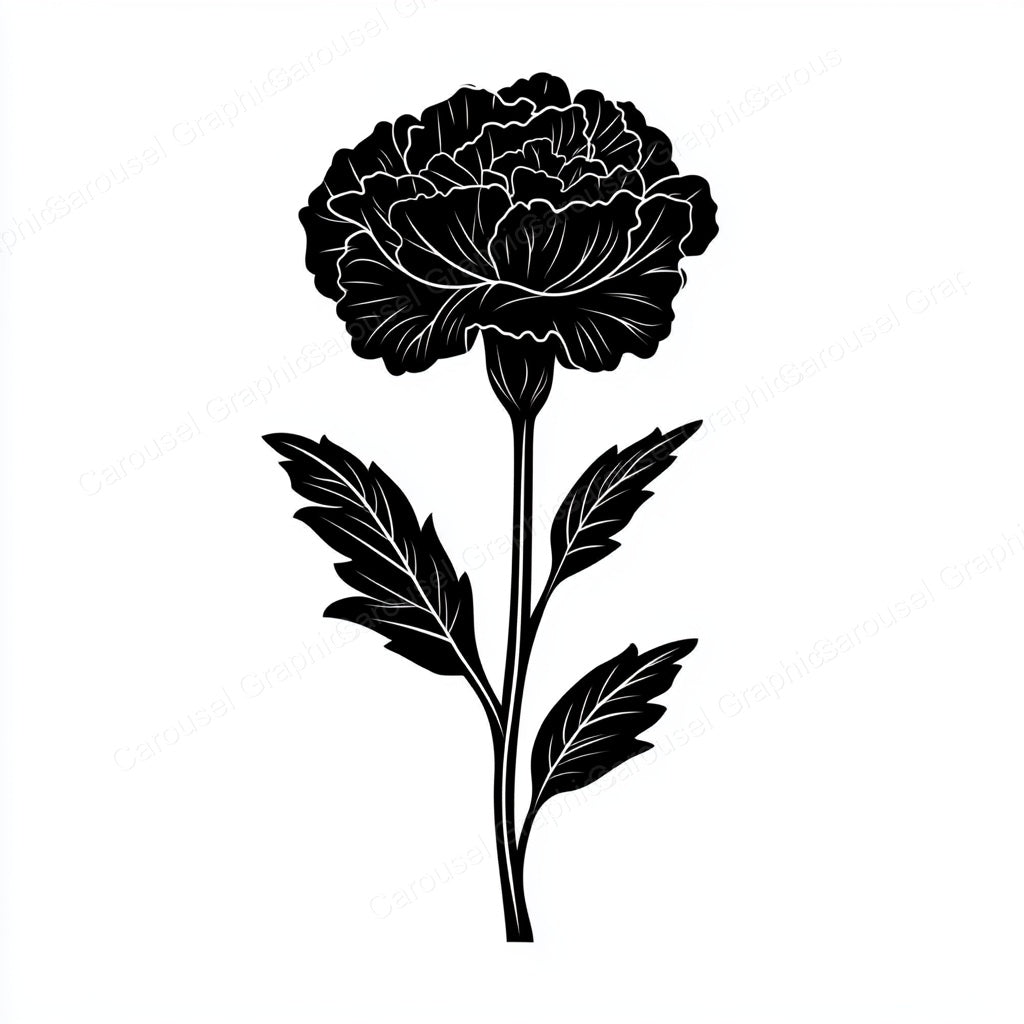 Carnation Vector Graphic preview