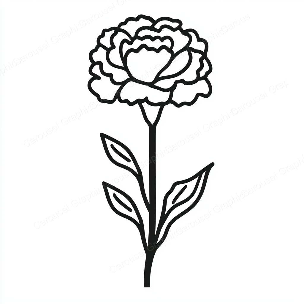 Carnation Vector Graphic preview