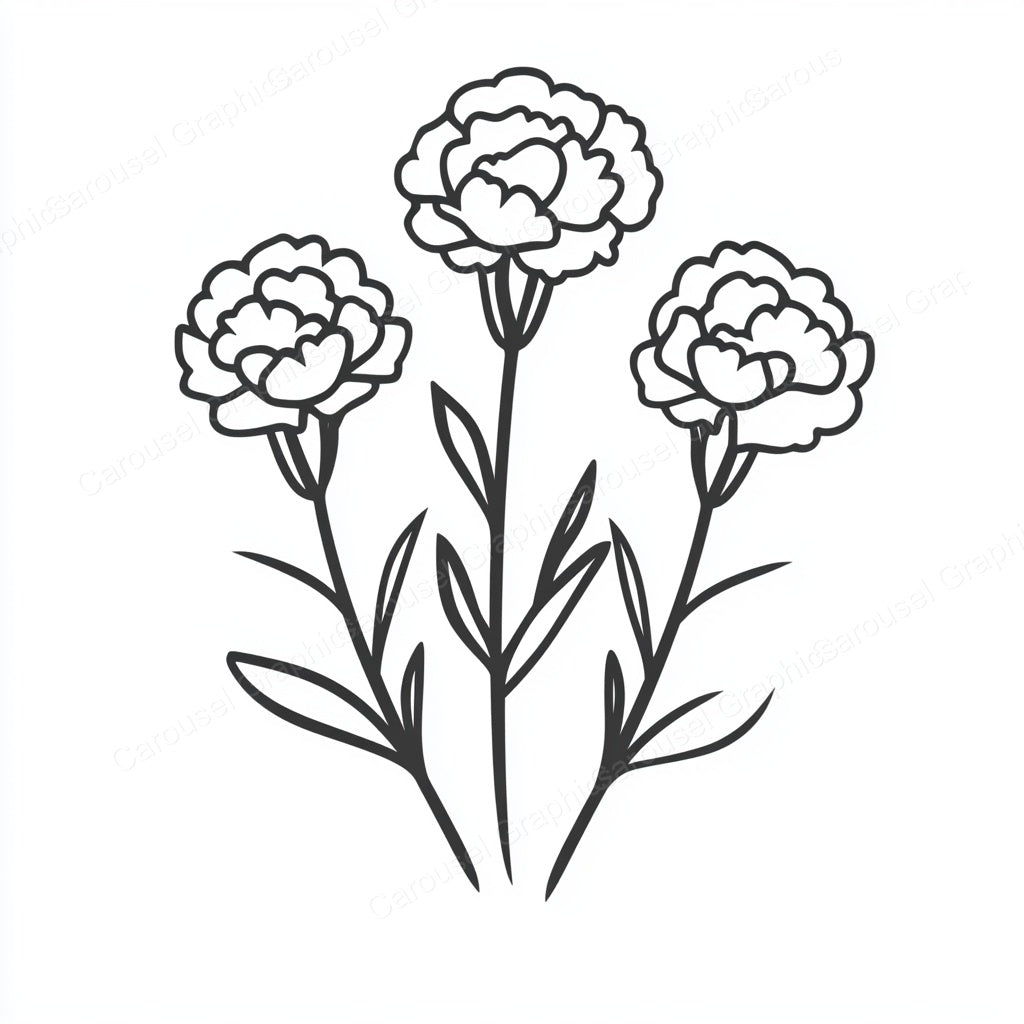 Carnation Vector Graphic preview