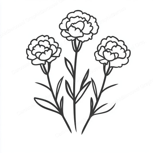 Carnation Vector Graphic preview