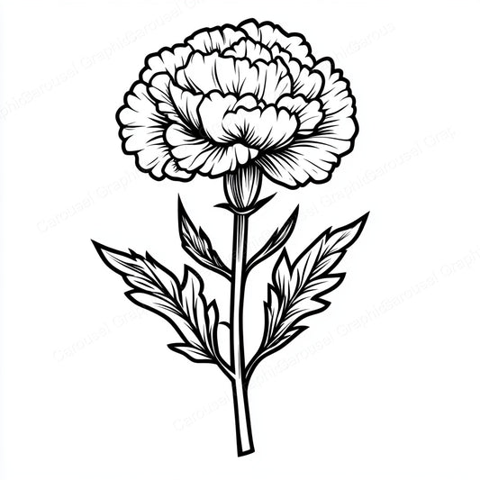 Carnation Vector Graphic preview