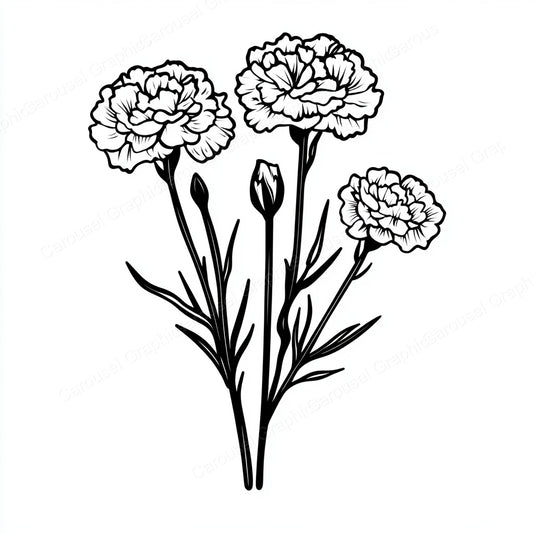 Carnation Vector Graphic preview