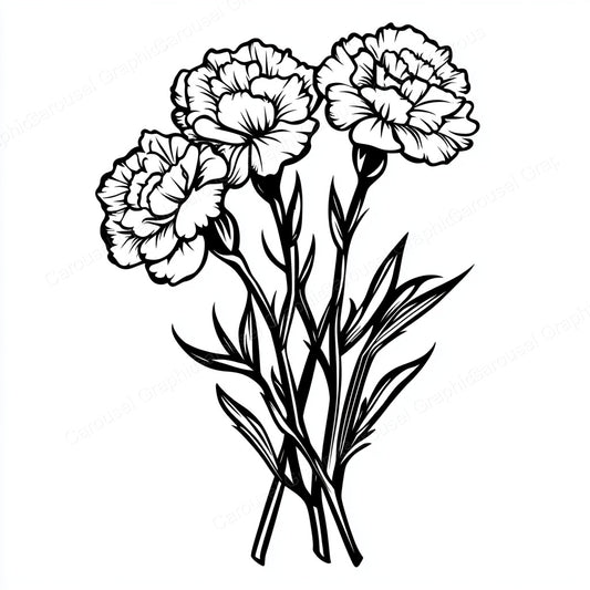Carnation Vector Graphic preview
