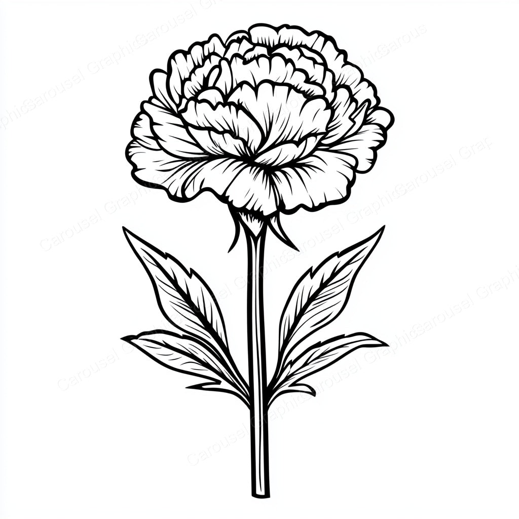 Carnation Vector Graphic preview