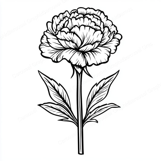Carnation Vector Graphic preview