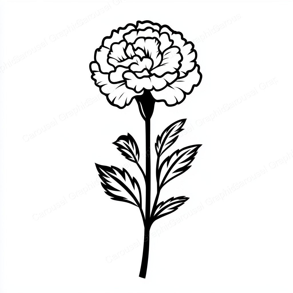 Carnation Vector Graphic preview