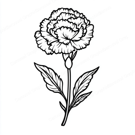 Carnation Vector Graphic preview