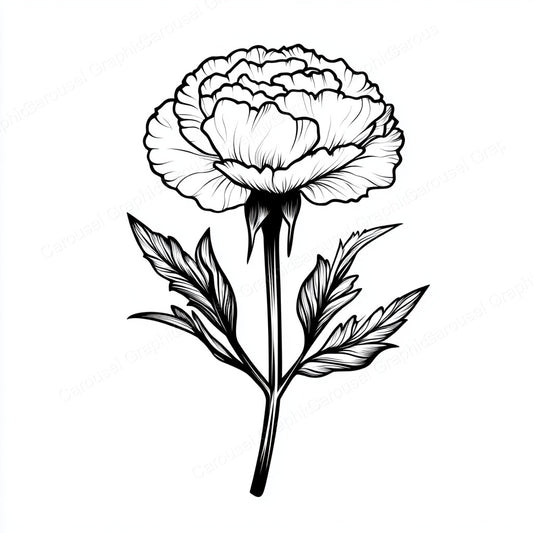 Carnation Vector Graphic preview