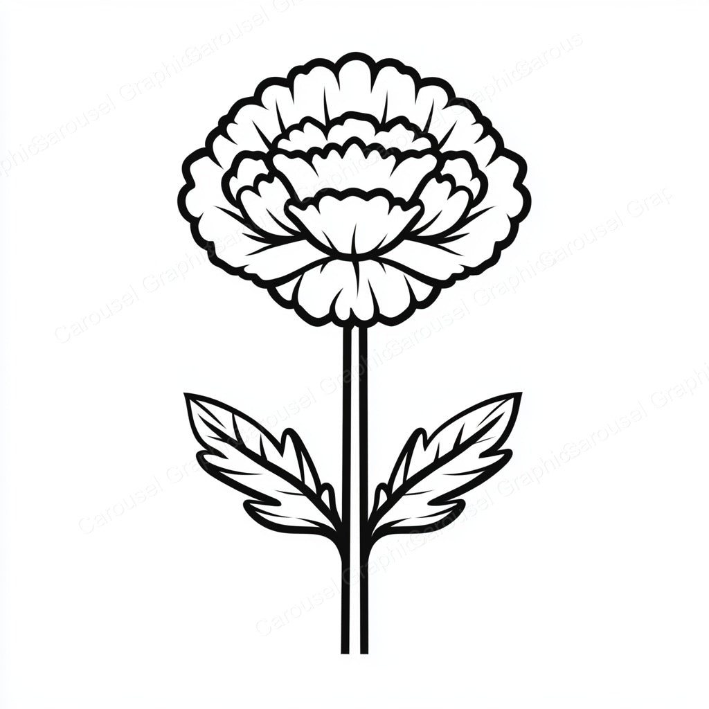 Carnation Vector Graphic preview