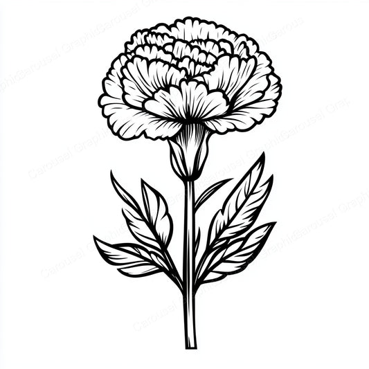 Carnation Vector Graphic preview