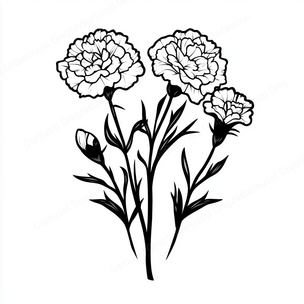 Carnation Vector Graphic preview