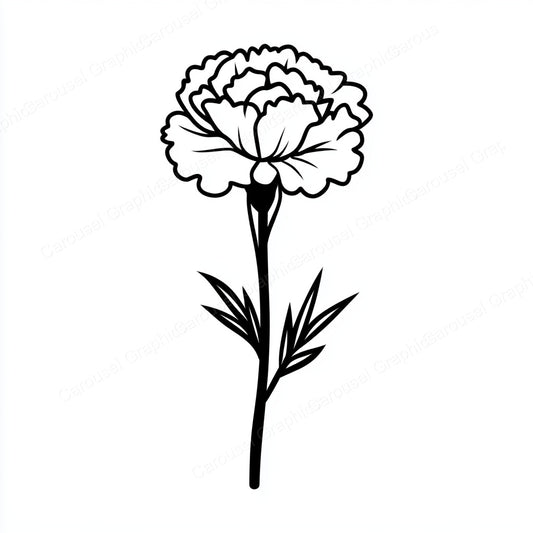 Carnation Vector Graphic preview