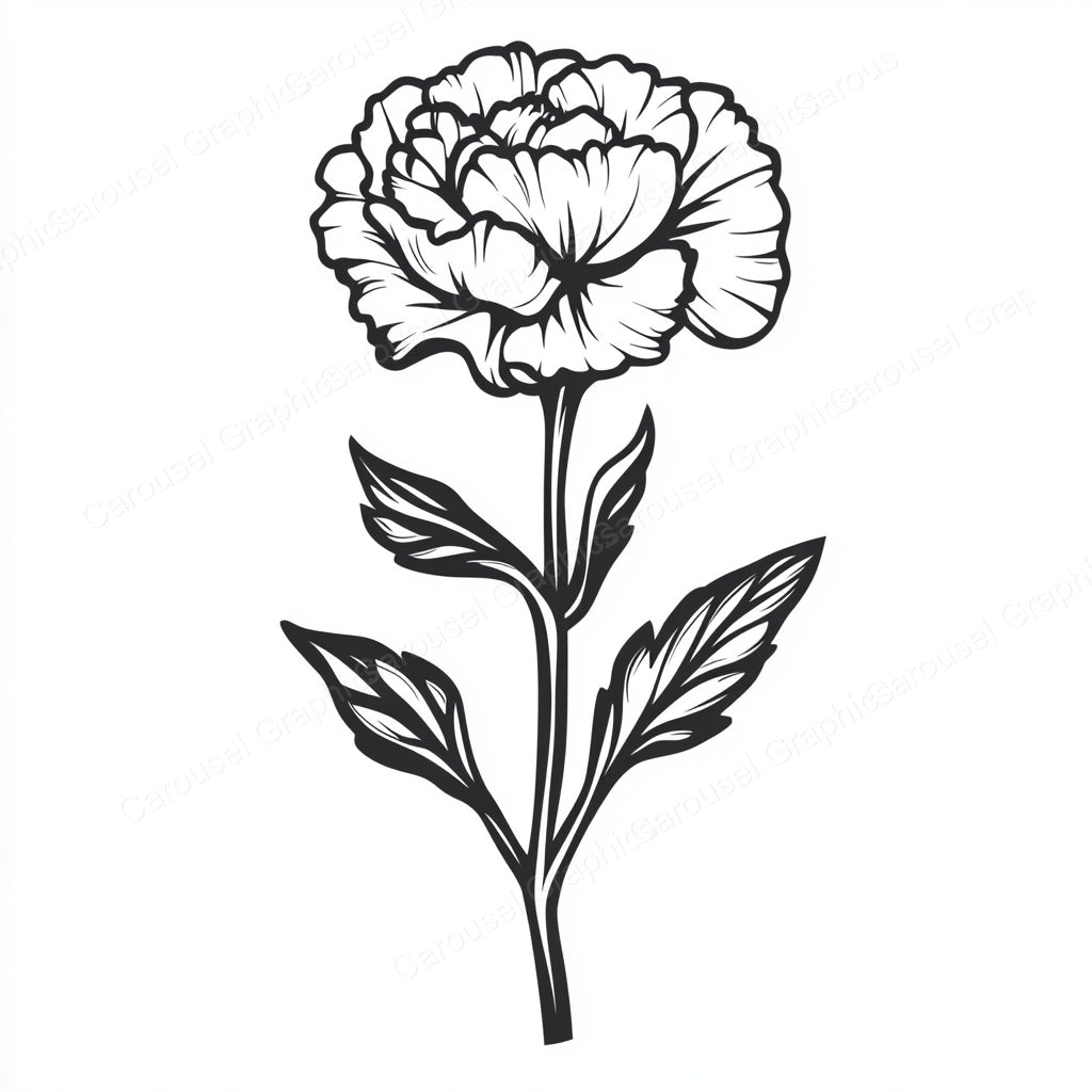 Carnation Vector Graphic preview