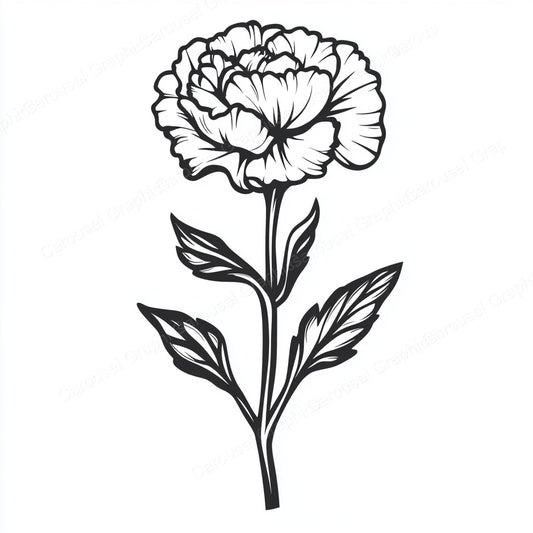 Carnation Vector Graphic preview