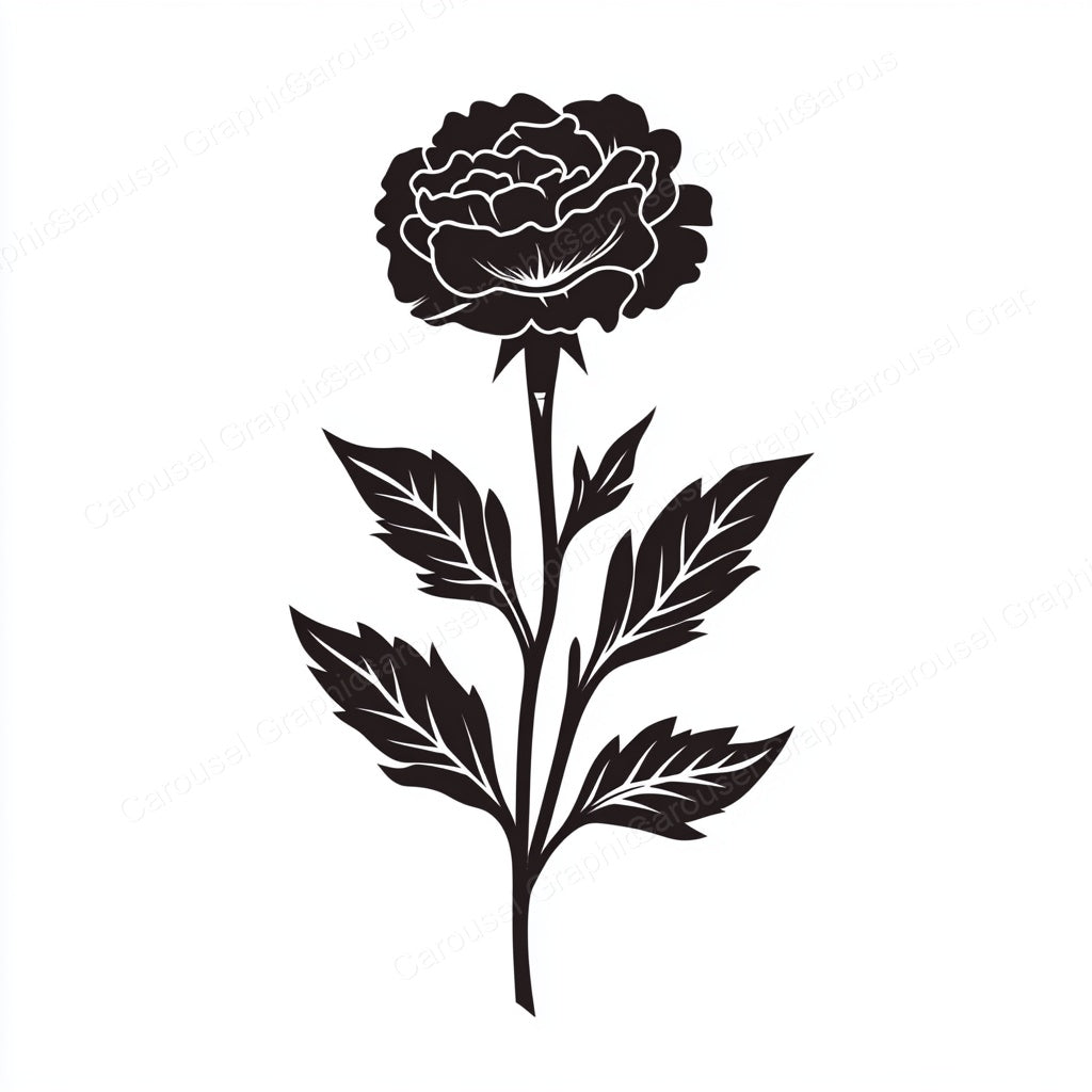 Carnation Vector Graphic preview