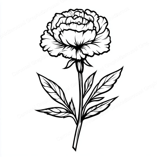 Carnation Vector Graphic preview