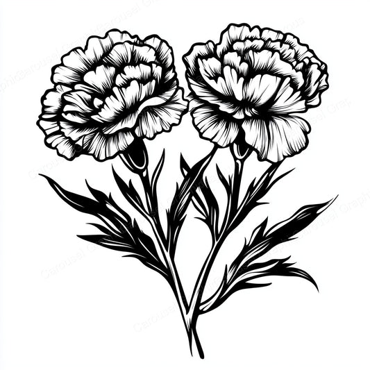 Carnation Vector Graphic preview