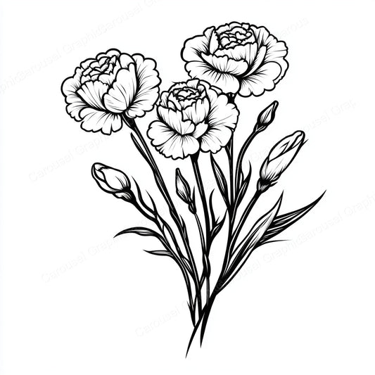 Carnation Vector Graphic preview