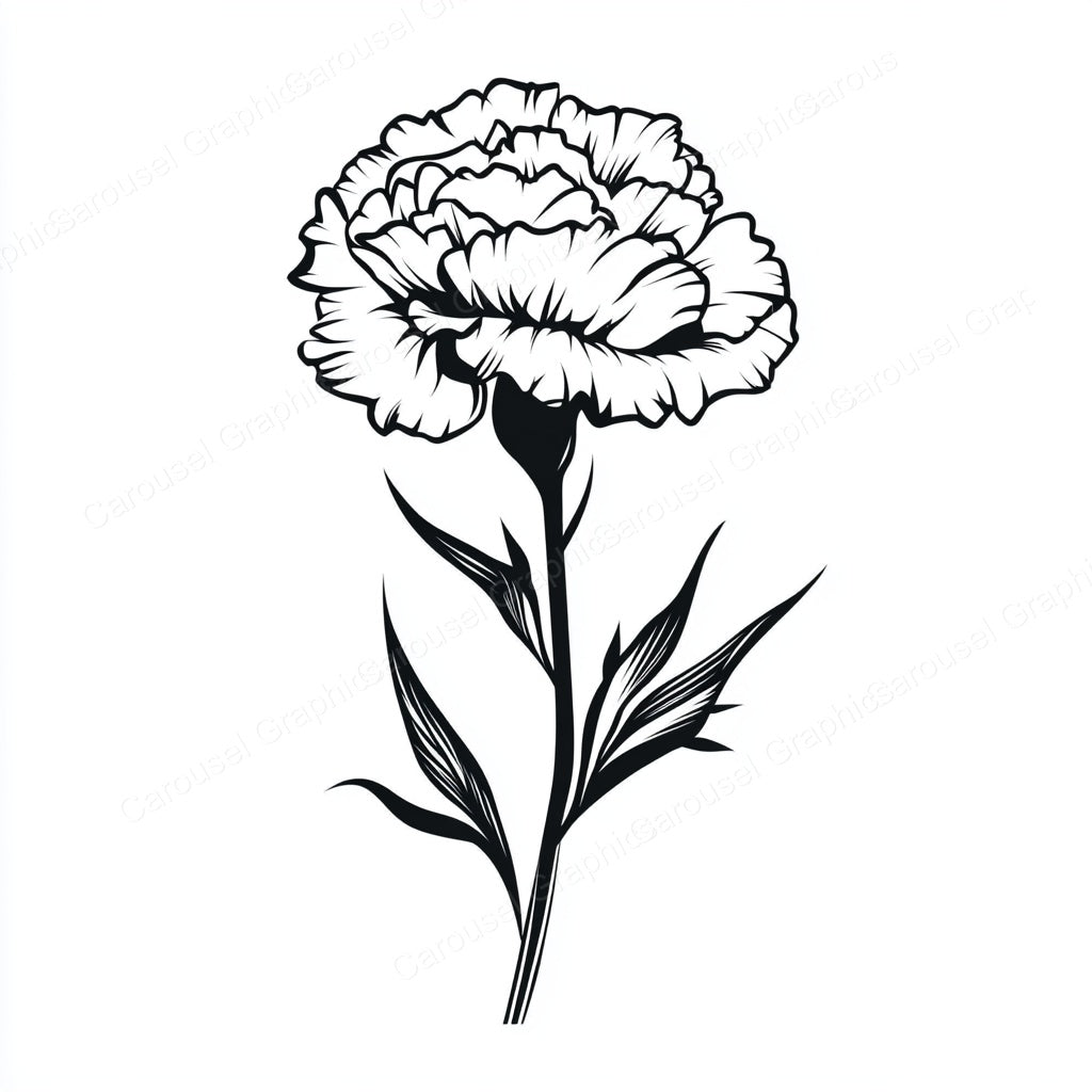Carnation Vector Graphic preview
