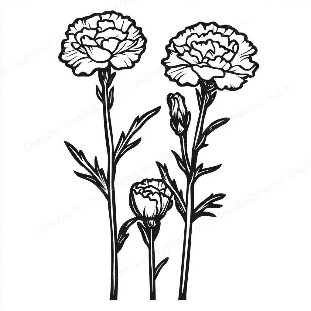 Carnation Vector Graphic preview