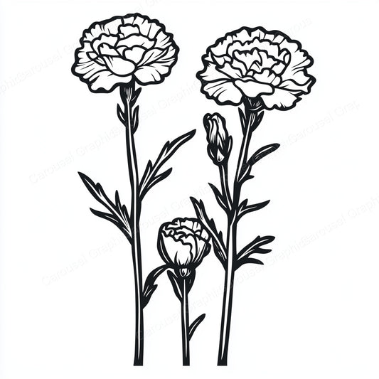 Carnation Vector Graphic preview
