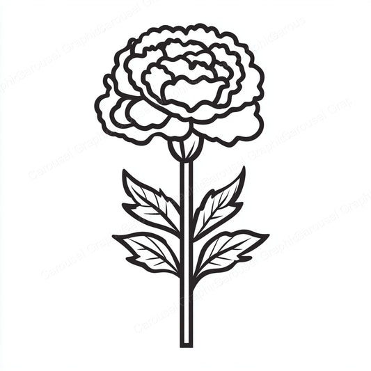 Carnation Vector Graphic preview