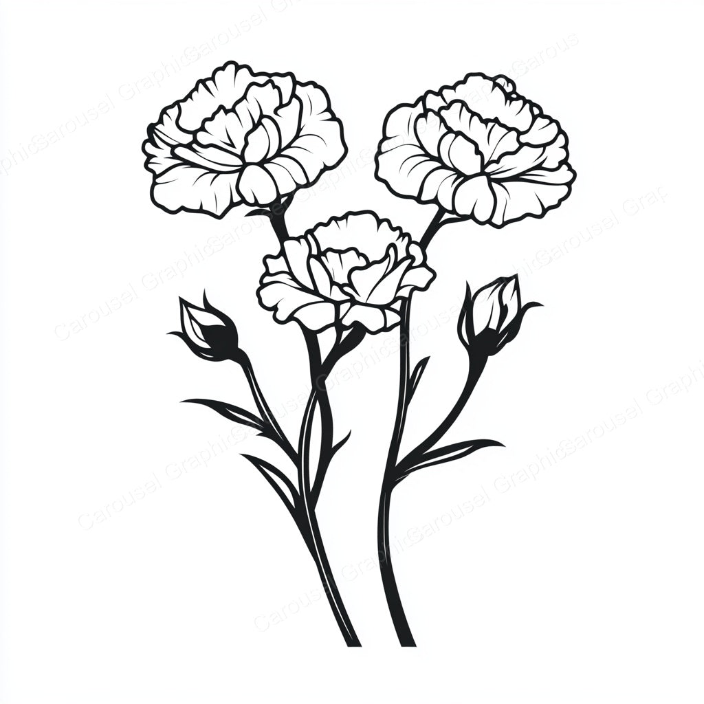 Carnation Vector Graphic preview