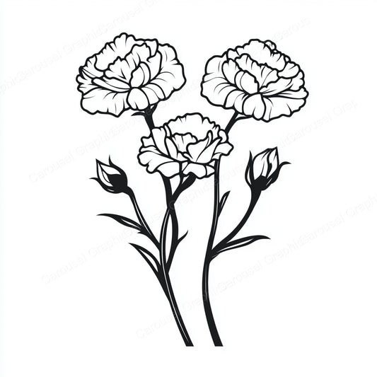 Carnation Vector Graphic preview